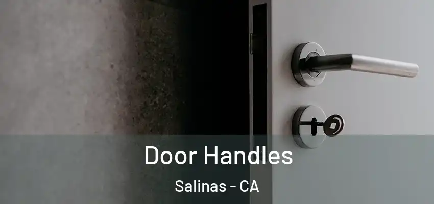  Door Handles Salinas - CA