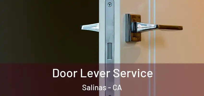  Door Lever Service Salinas - CA