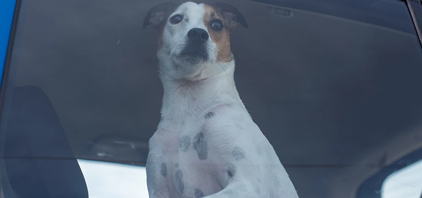 Car Lockout Solutions in Salinas, California