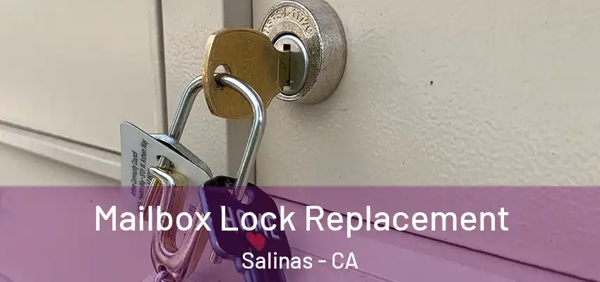  Mailbox Lock Replacement Salinas - CA