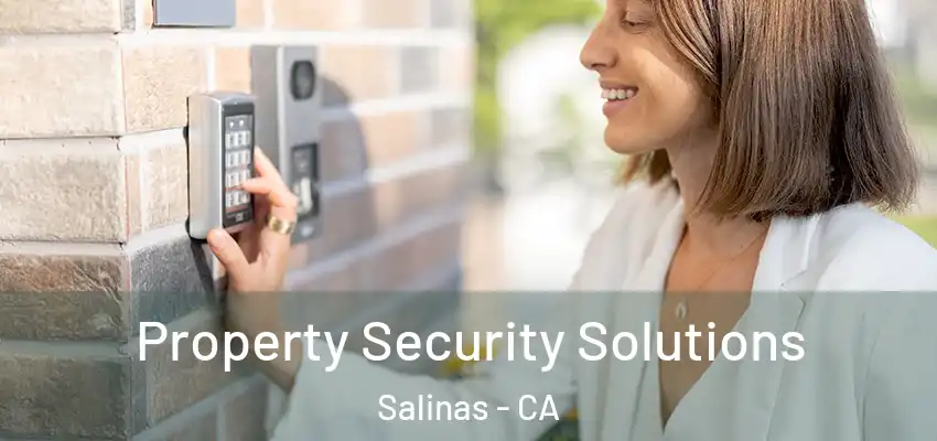 Property Security Solutions Salinas - CA